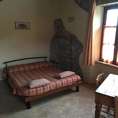 Agriturismo Terre Di Musignano Canino Exteriör bild