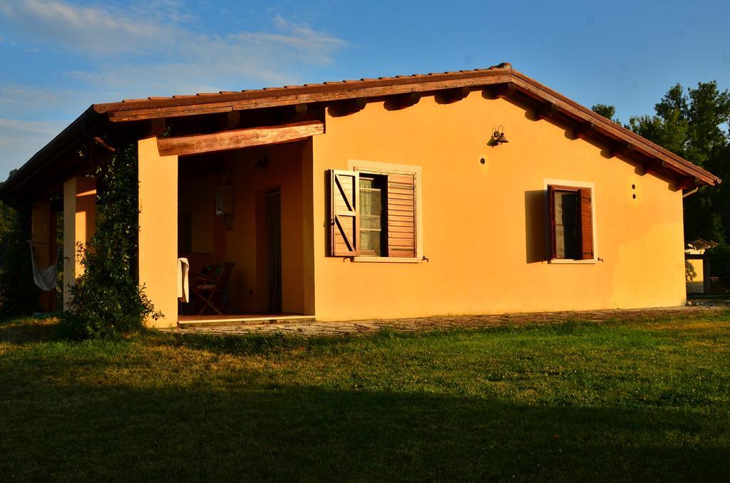 Agriturismo Terre Di Musignano Canino Rum bild