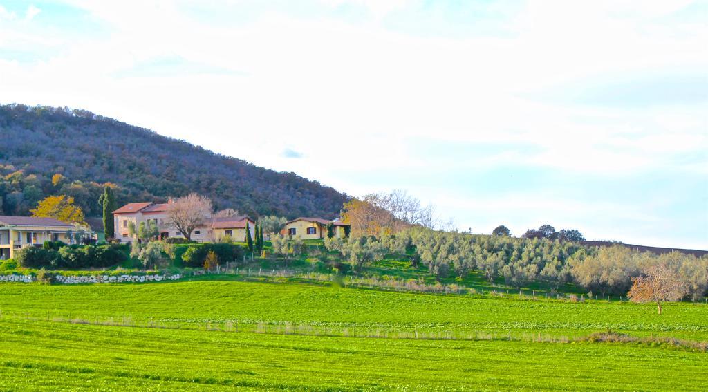 Agriturismo Terre Di Musignano Canino Exteriör bild
