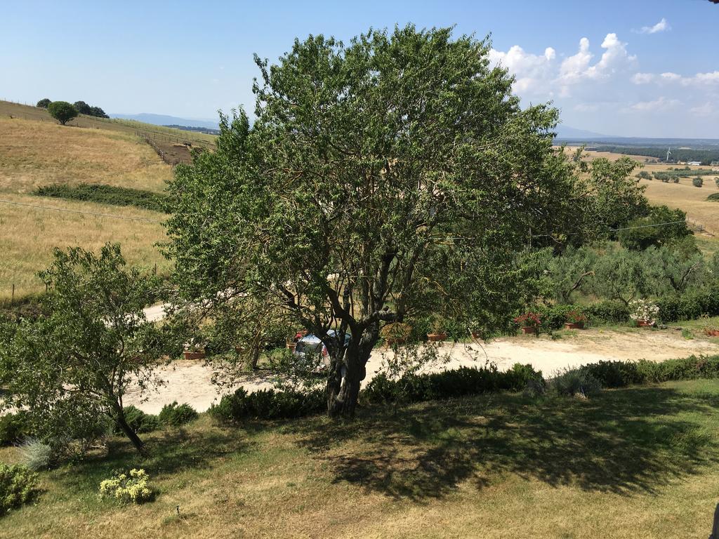 Agriturismo Terre Di Musignano Canino Exteriör bild