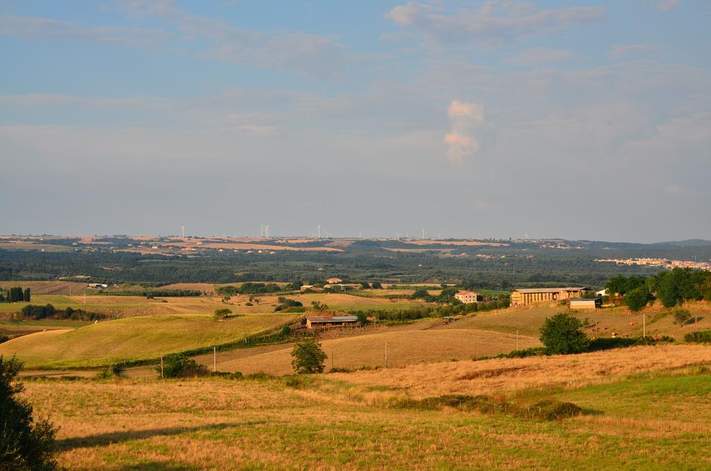 Agriturismo Terre Di Musignano Canino Exteriör bild